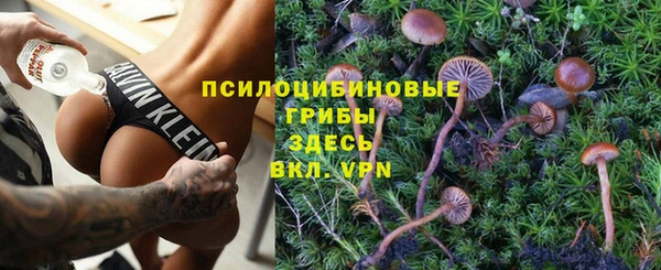прущий лед Аркадак