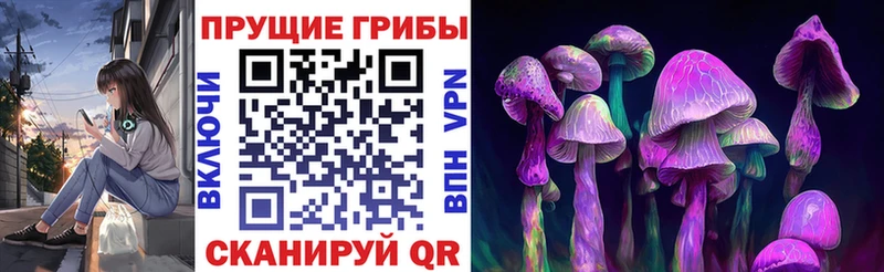 где можно купить наркотик  Мглин  Псилоцибиновые грибы прущие грибы 